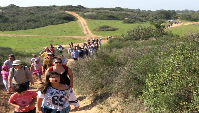 סיורים מודרכים ללא תשלום